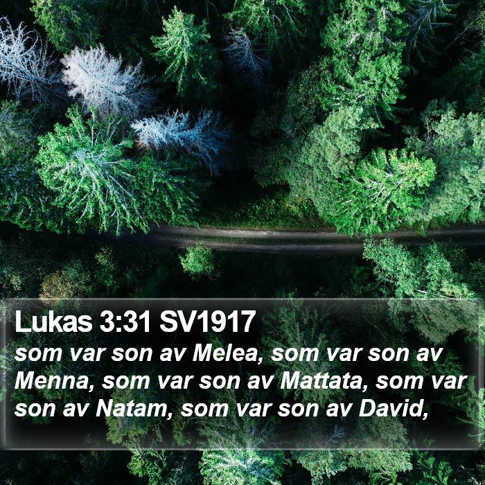 Lukas 3:31 SV1917 Bible Study