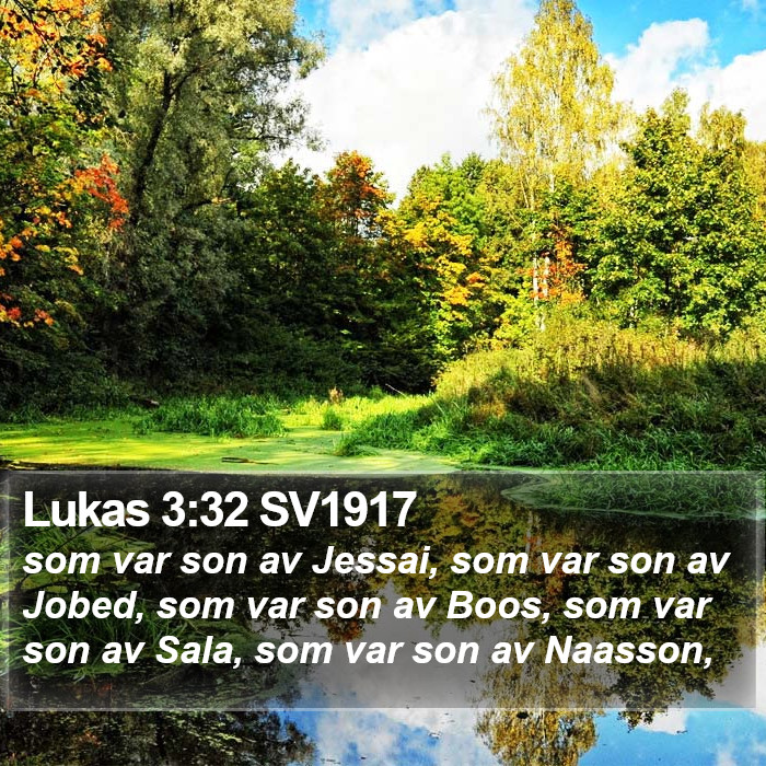 Lukas 3:32 SV1917 Bible Study