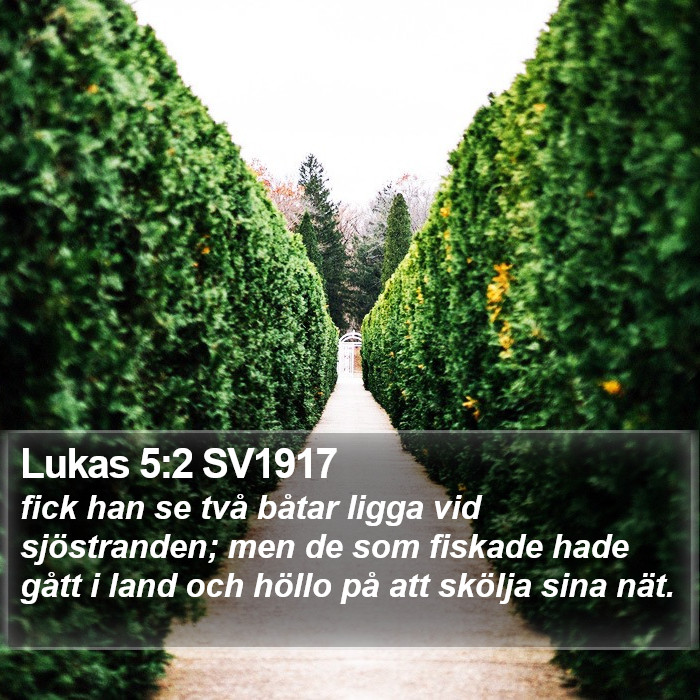 Lukas 5:2 SV1917 Bible Study