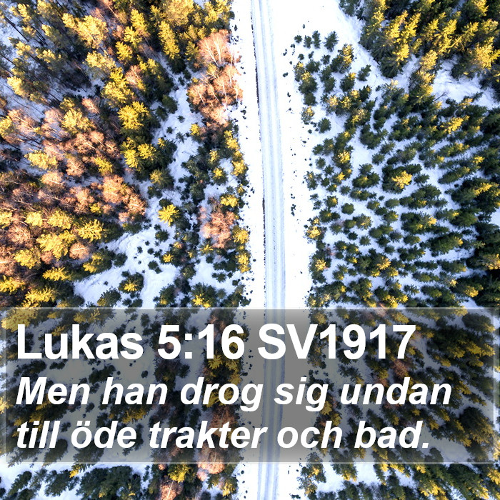 Lukas 5:16 SV1917 Bible Study