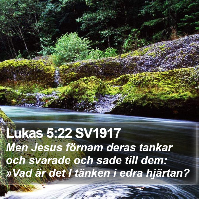 Lukas 5:22 SV1917 Bible Study