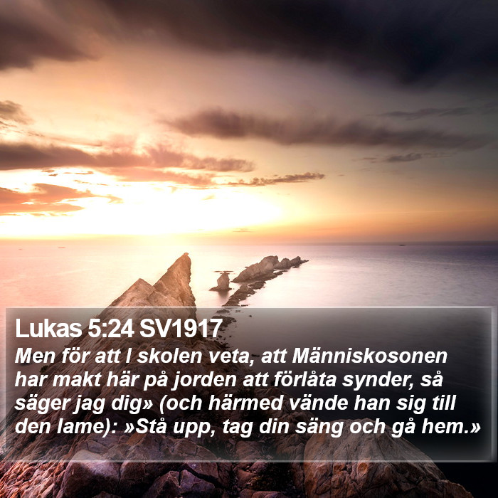 Lukas 5:24 SV1917 Bible Study