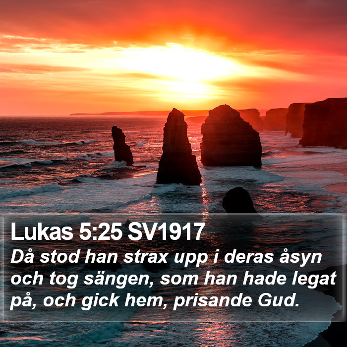 Lukas 5:25 SV1917 Bible Study