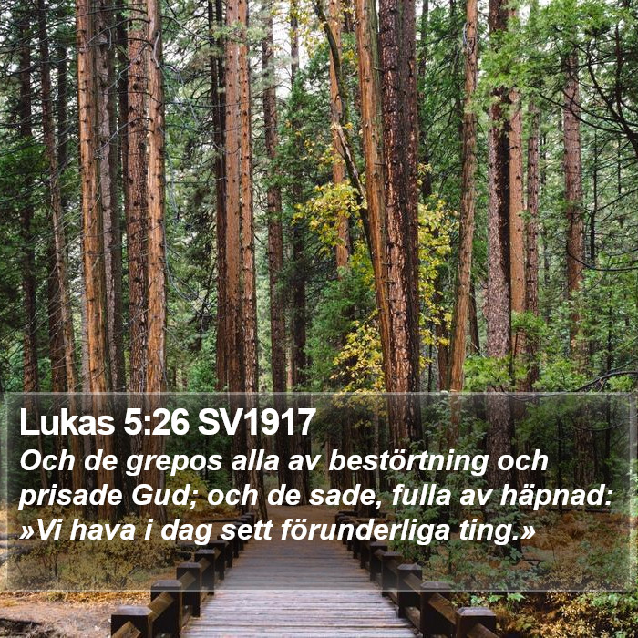 Lukas 5:26 SV1917 Bible Study