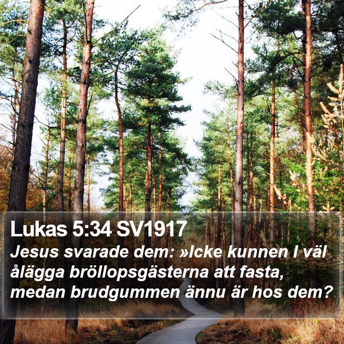 Lukas 5:34 SV1917 Bible Study