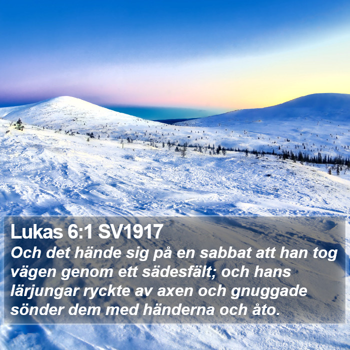 Lukas 6:1 SV1917 Bible Study