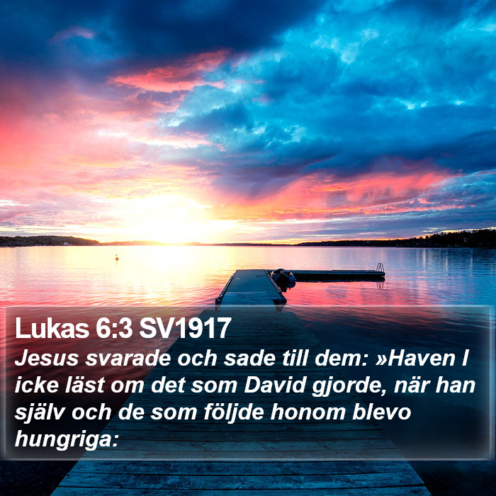 Lukas 6:3 SV1917 Bible Study