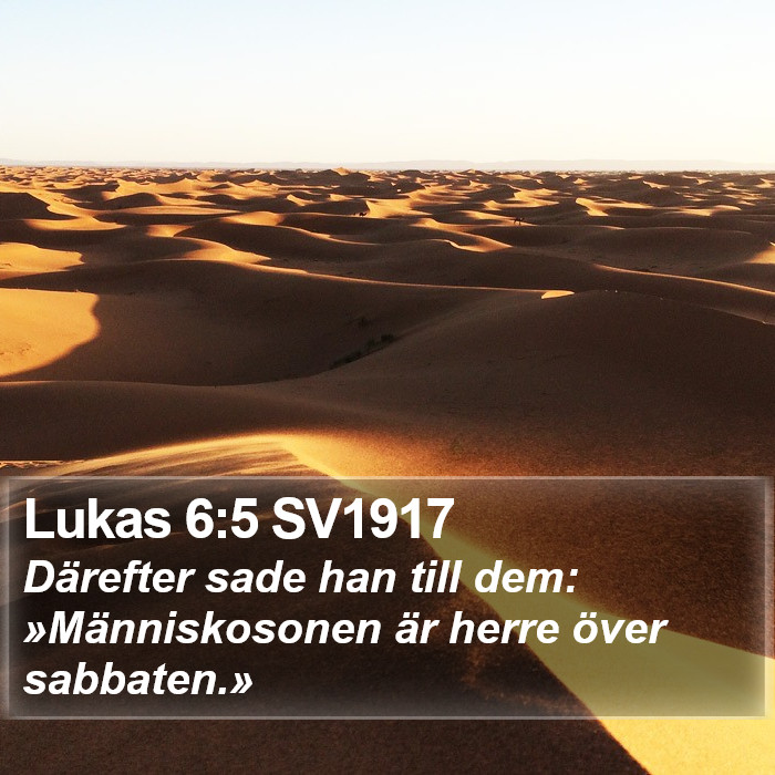 Lukas 6:5 SV1917 Bible Study