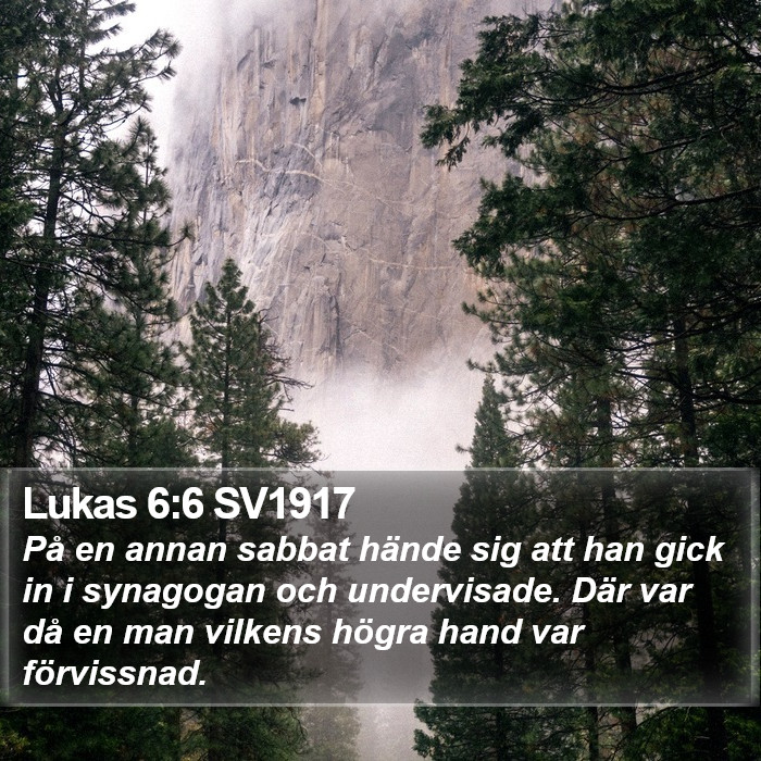 Lukas 6:6 SV1917 Bible Study