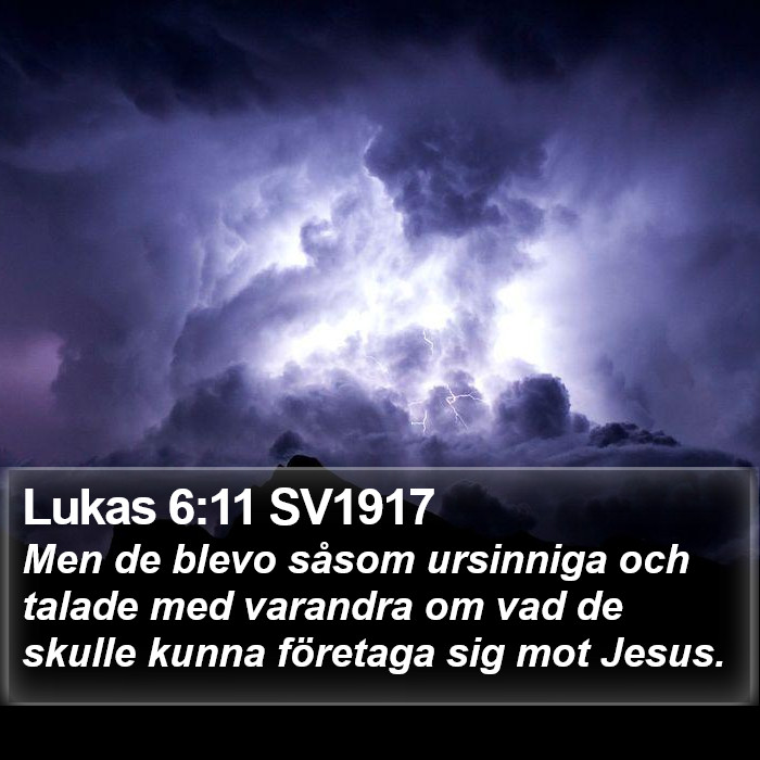 Lukas 6:11 SV1917 Bible Study