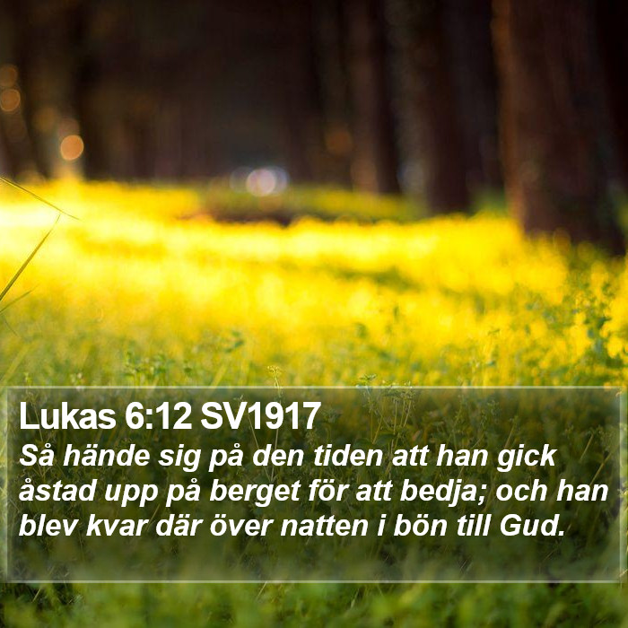 Lukas 6:12 SV1917 Bible Study