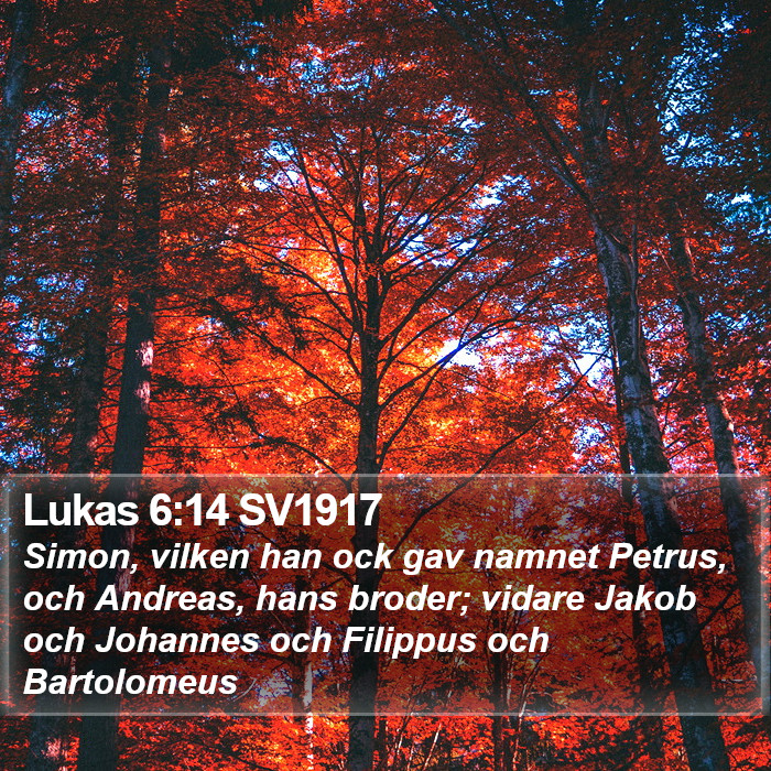 Lukas 6:14 SV1917 Bible Study