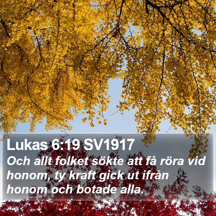 Lukas 6:19 SV1917 Bible Study