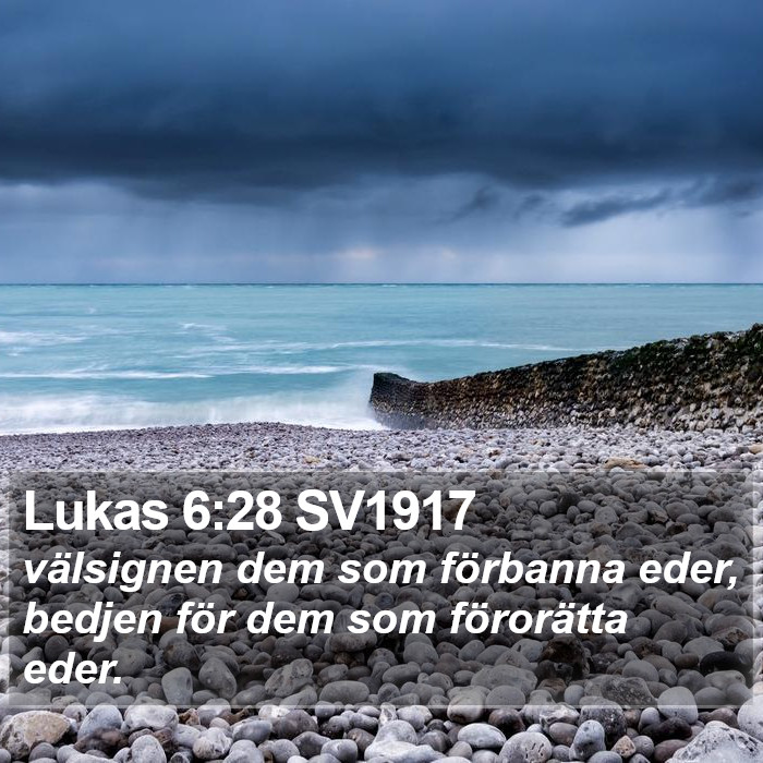 Lukas 6:28 SV1917 Bible Study