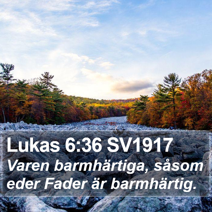 Lukas 6:36 SV1917 Bible Study