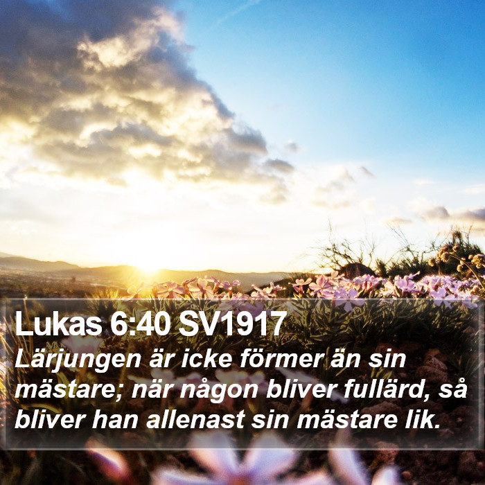 Lukas 6:40 SV1917 Bible Study