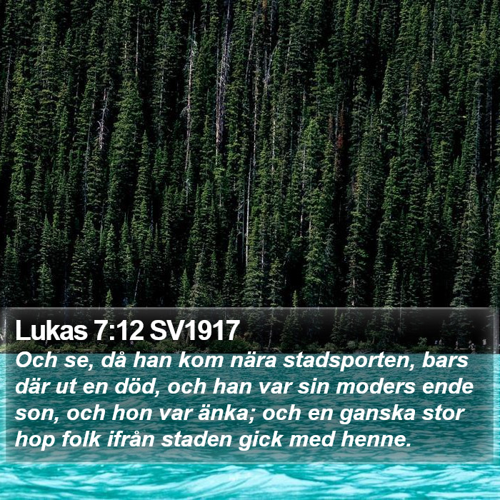 Lukas 7:12 SV1917 Bible Study