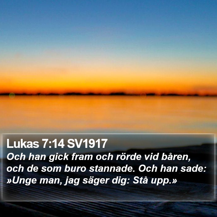 Lukas 7:14 SV1917 Bible Study