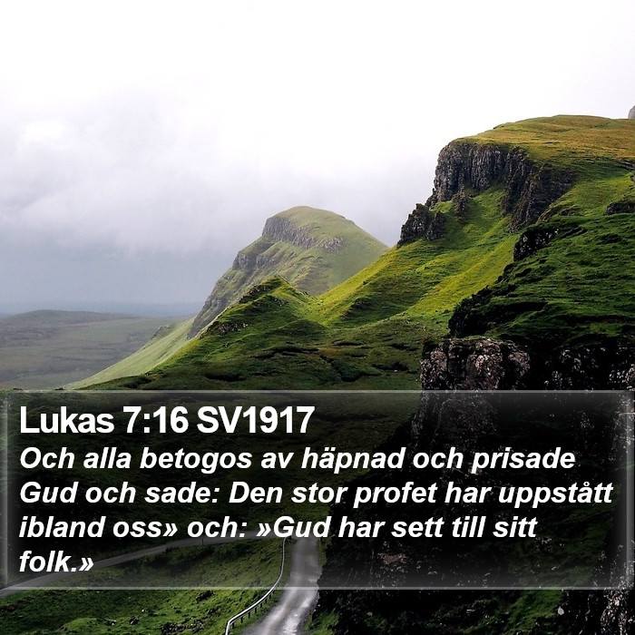 Lukas 7:16 SV1917 Bible Study