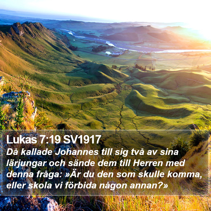 Lukas 7:19 SV1917 Bible Study