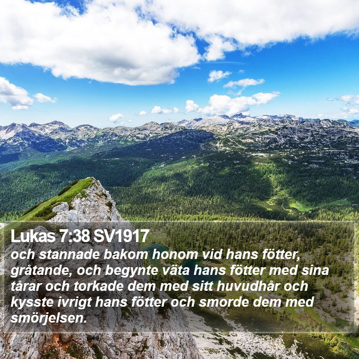 Lukas 7:38 SV1917 Bible Study