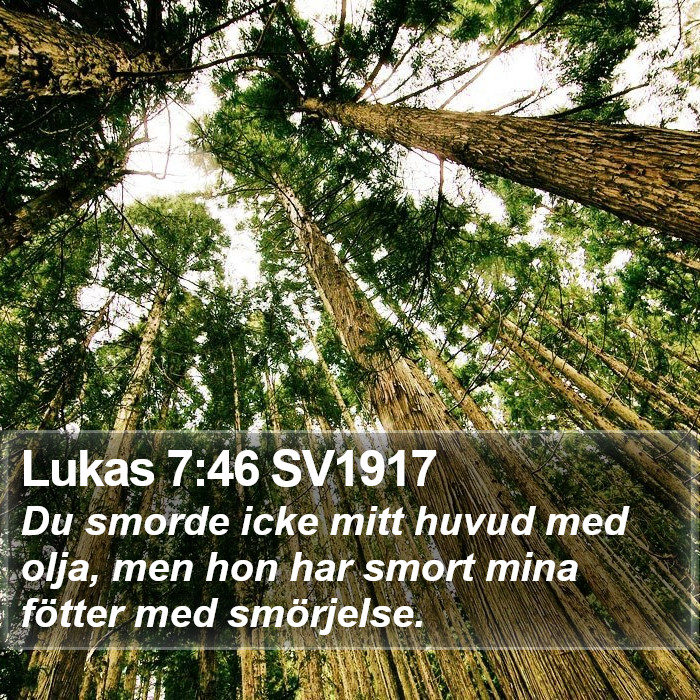 Lukas 7:46 SV1917 Bible Study