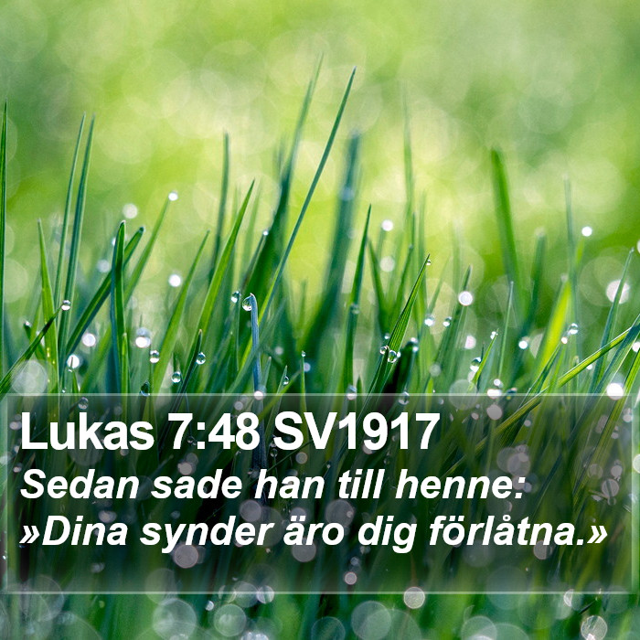 Lukas 7:48 SV1917 Bible Study