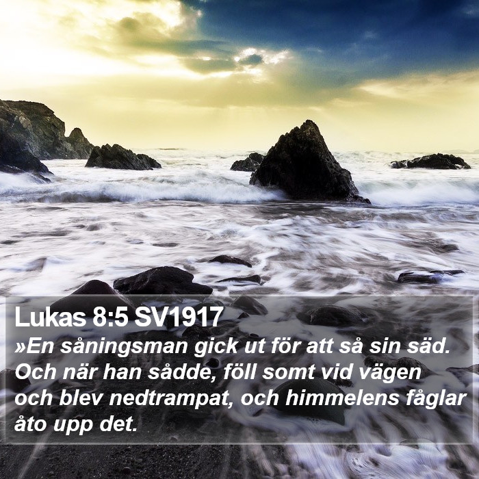 Lukas 8:5 SV1917 Bible Study