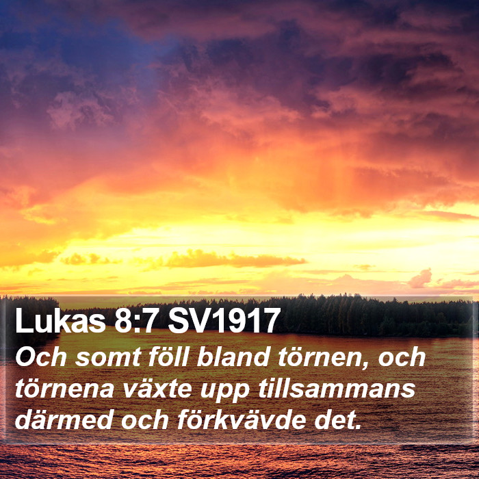 Lukas 8:7 SV1917 Bible Study