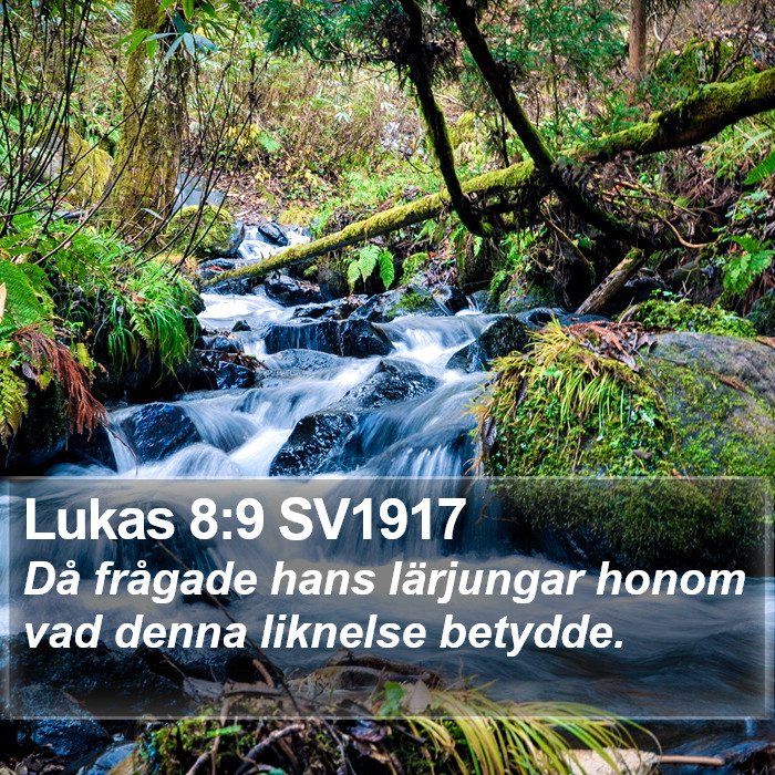 Lukas 8:9 SV1917 Bible Study