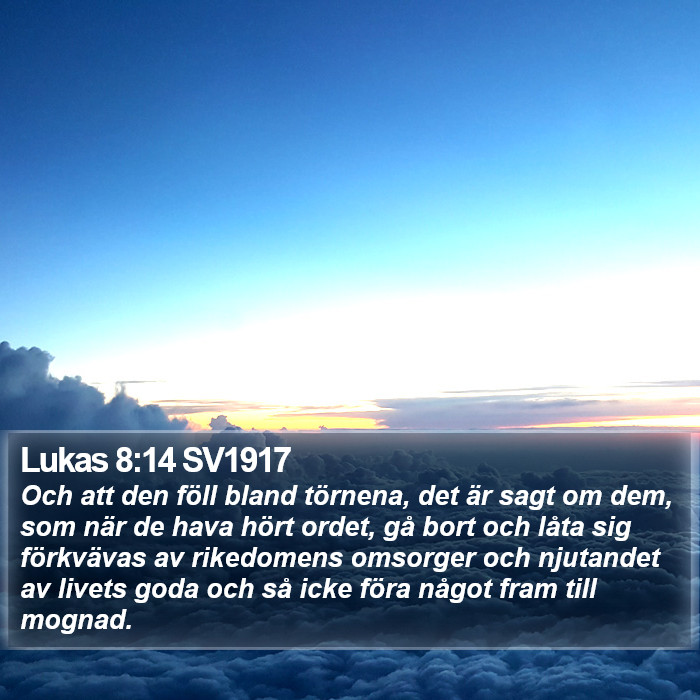 Lukas 8:14 SV1917 Bible Study