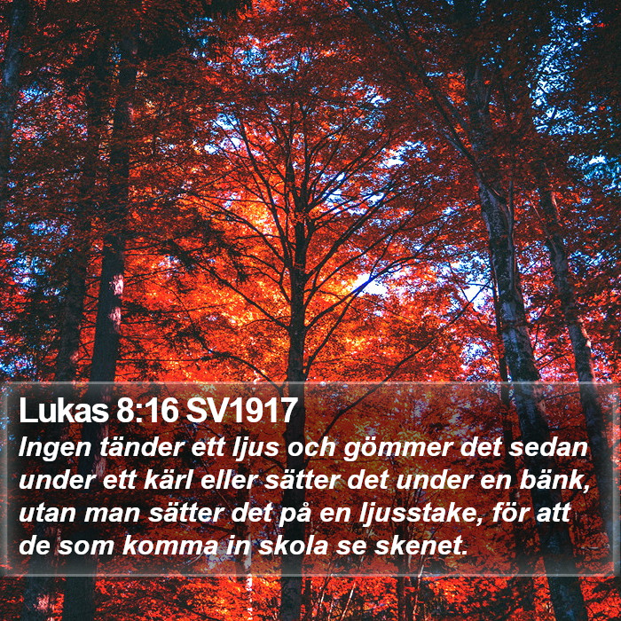 Lukas 8:16 SV1917 Bible Study