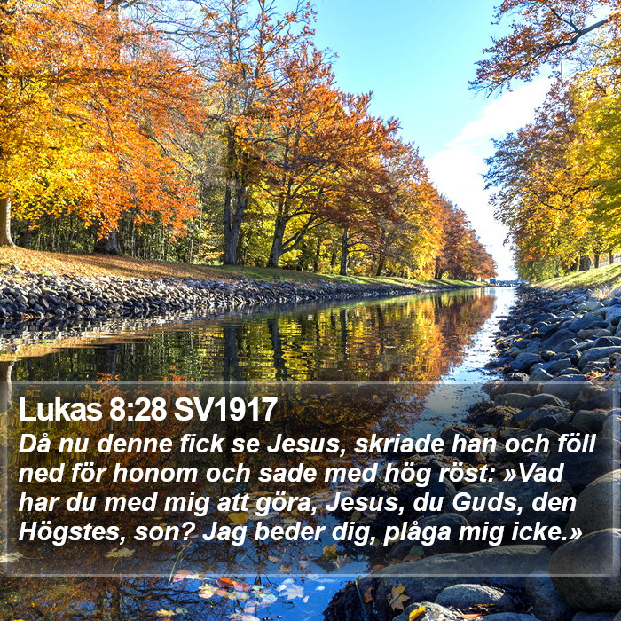 Lukas 8:28 SV1917 Bible Study