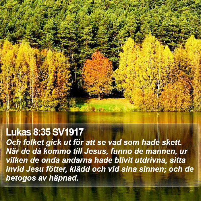 Lukas 8:35 SV1917 Bible Study