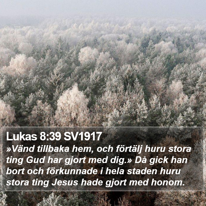 Lukas 8:39 SV1917 Bible Study