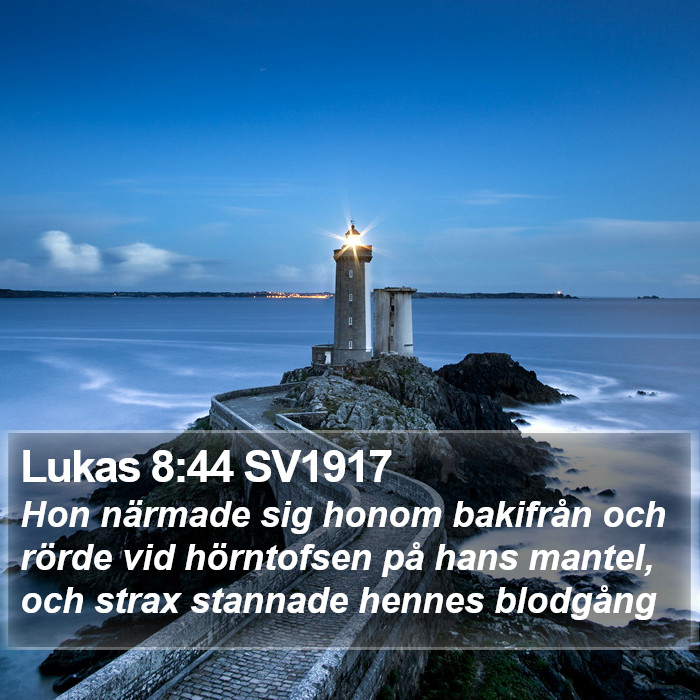 Lukas 8:44 SV1917 Bible Study