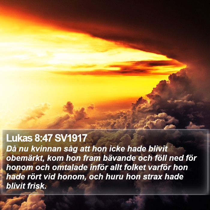 Lukas 8:47 SV1917 Bible Study