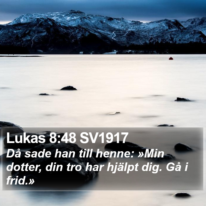 Lukas 8:48 SV1917 Bible Study