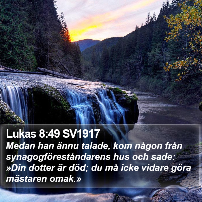 Lukas 8:49 SV1917 Bible Study