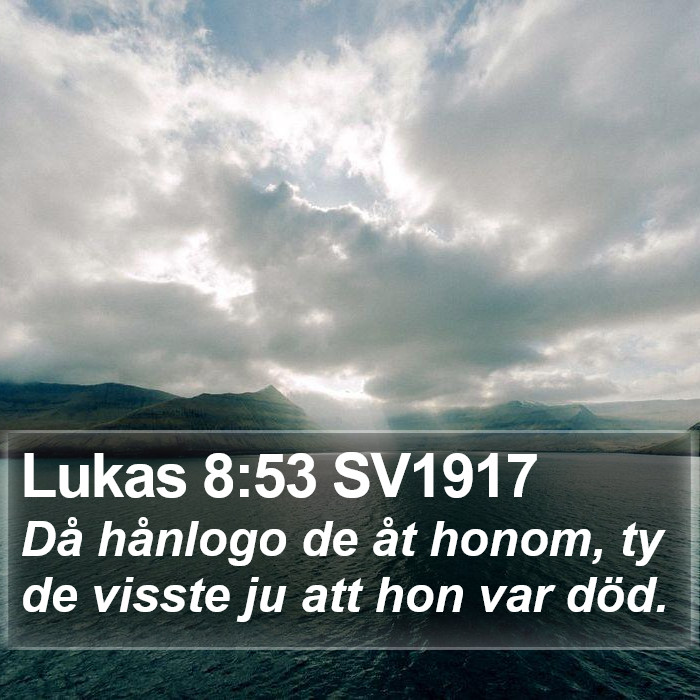 Lukas 8:53 SV1917 Bible Study