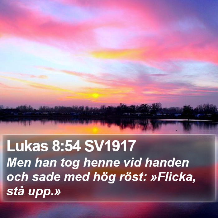 Lukas 8:54 SV1917 Bible Study