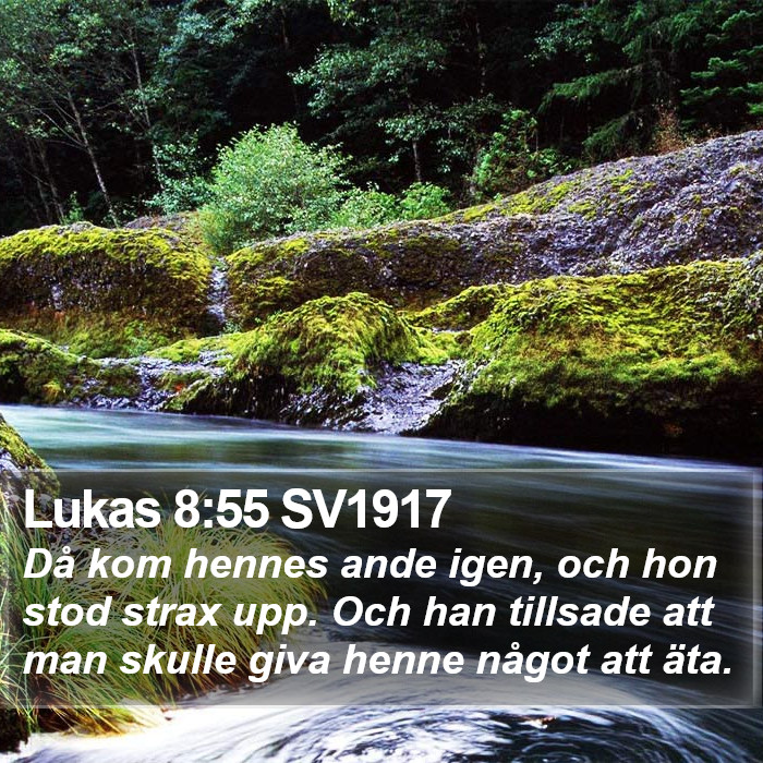 Lukas 8:55 SV1917 Bible Study