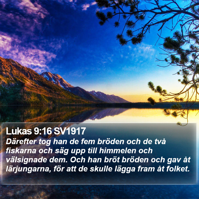 Lukas 9:16 SV1917 Bible Study