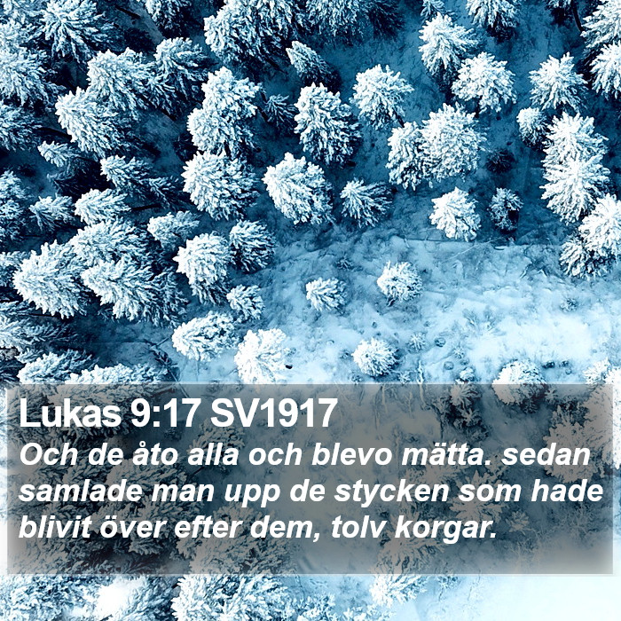 Lukas 9:17 SV1917 Bible Study