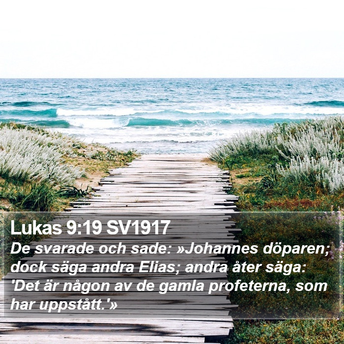 Lukas 9:19 SV1917 Bible Study