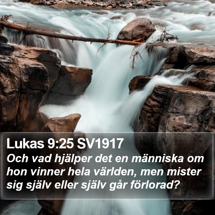 Lukas 9:25 SV1917 Bible Study