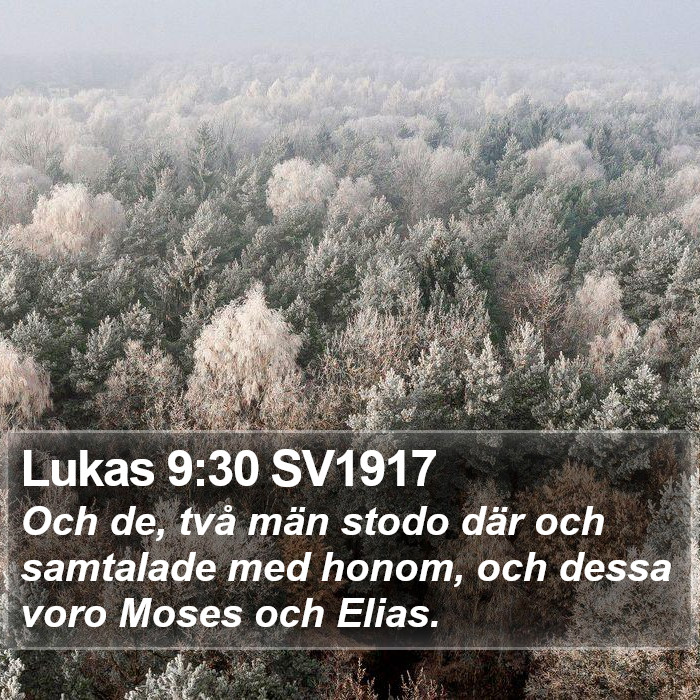 Lukas 9:30 SV1917 Bible Study