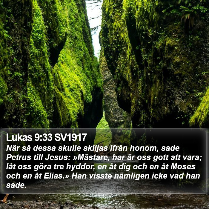 Lukas 9:33 SV1917 Bible Study