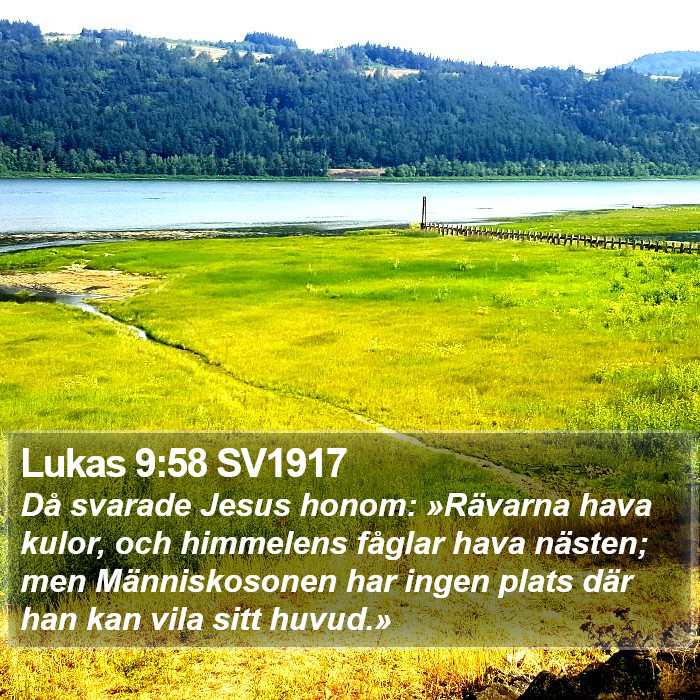 Lukas 9:58 SV1917 Bible Study