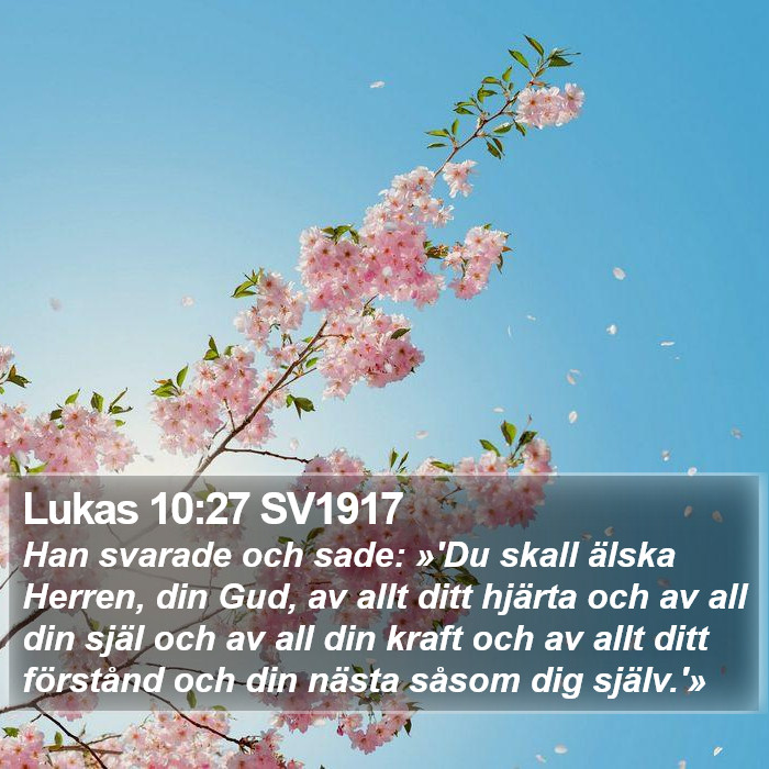 Lukas 10:27 SV1917 Bible Study